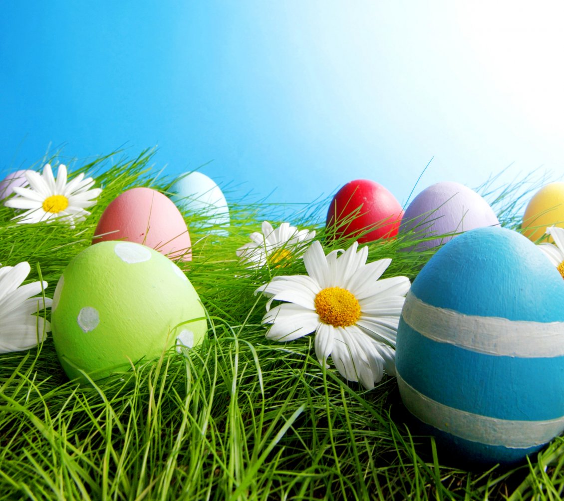 Download Wallpaper Painted eggs in grass and white flowers - Easter holiday