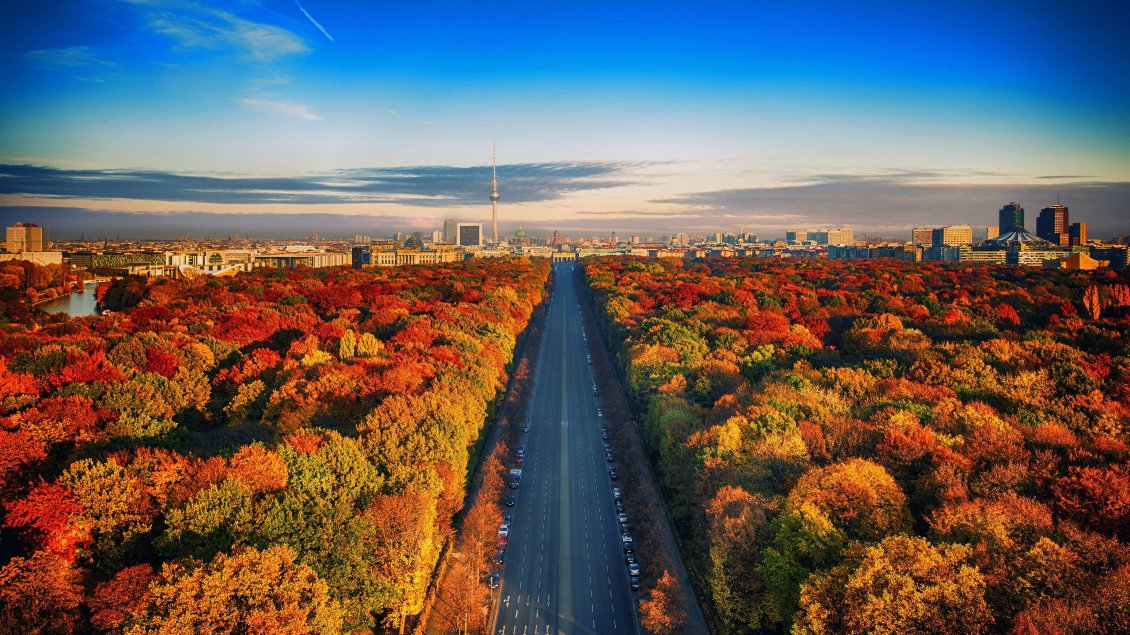 Download Wallpaper Beautiful highway through forest - Autumn season