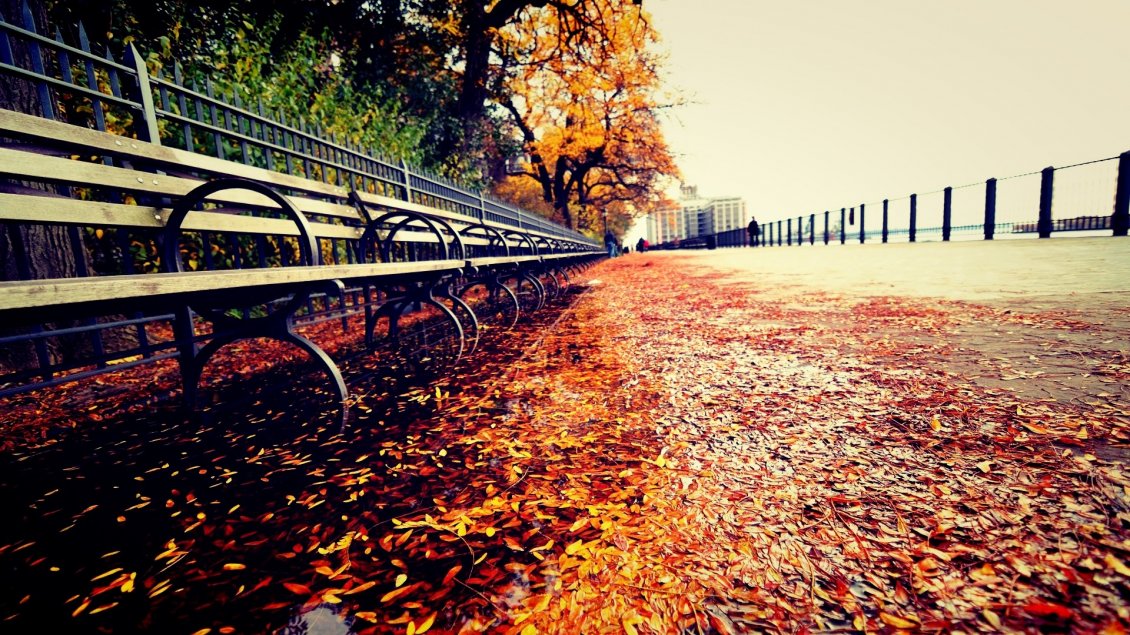 Download Wallpaper Path full with autumn leaves near the park - HD wallpaper