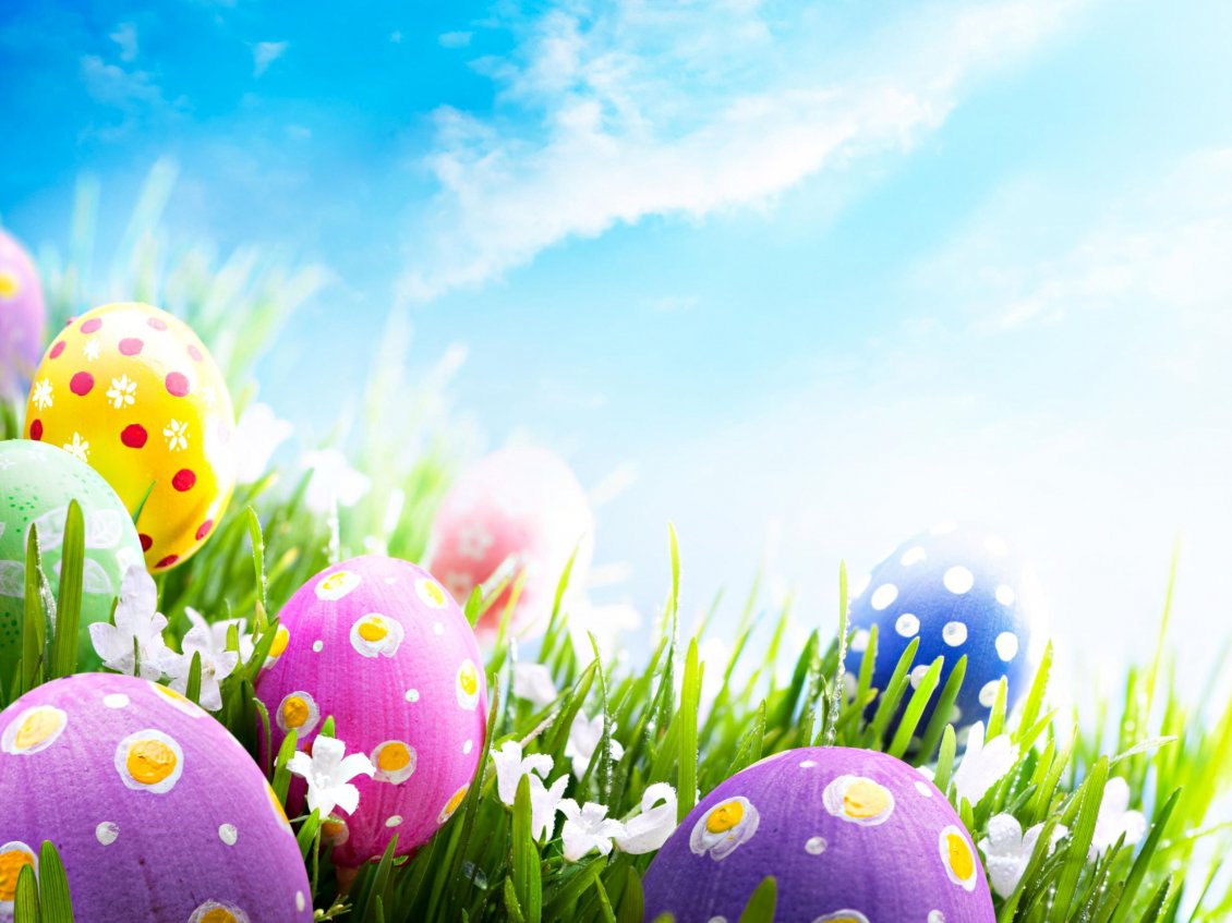 Download Wallpaper Good morning wonderful spring Easter Holiday - Color eggs