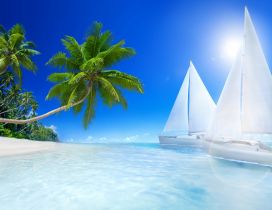Tropical beach, palms and sailboat on the sea