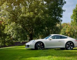 White Porsche Carrera 911 on grass