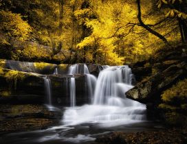 Waterfall on a river in the forest and trees leaves yellowed