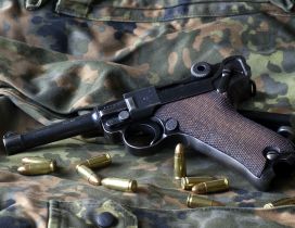 Pistol Luger P08 & Ammo