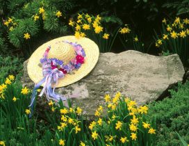 Hat adorned with flowers on a big stone