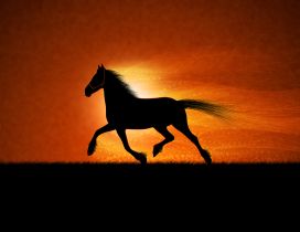 Sunset running horse
