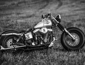 Black and White Harley Davidson Motorcycle