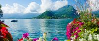 Colorful flowers and montains on the seashore