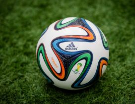 The Brazuca ball on the grass - Fifa World Cup
