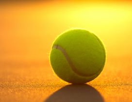 Tennis ball - Sport HD wallpaper
