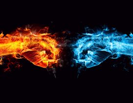 Two hands, one of flames and one of ice