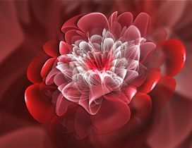 Red and white fractal shaped flower