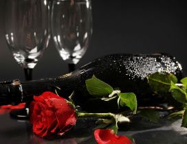 A red wine bottle near a red rose