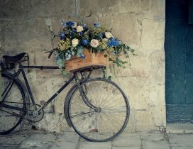 A basket with flowers on the old bicycle