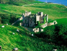 A castle on the hill and many sheeps grazing around