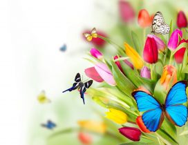 Different butterflies on a bouquet of tulips