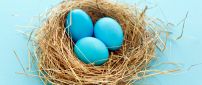 Three blue eggs in the nest - Abstract wallpaper