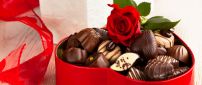 Praline chocolate in a heart with one red rose