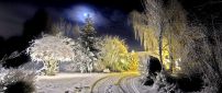 A beautiful landscape of winter in the moonlight