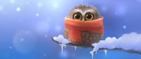 A owl with comforter on the frozen branch and full of snow