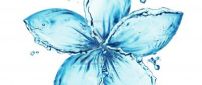Awesome blue flower made of water