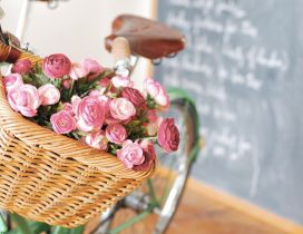 Many pink roses in the bicycle basket