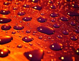 Orange 3D wallpaper with many water drops