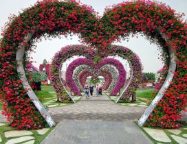Red and pink flower tunnel in the form of hearts