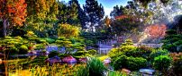 Colorful nature in the sun rays - Japanese Garden Wallpaper