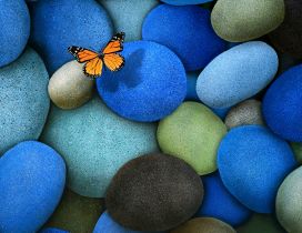 An orange butterfly flies over the colored stones