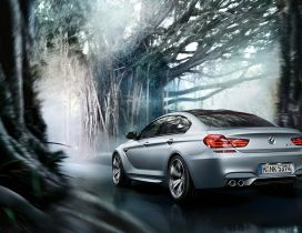 Beautiful BMW M6 Gran Coupe in a forest