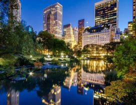 Central Park from New York - Stunning place