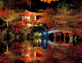 An amazing japanese garden - Colorful nature