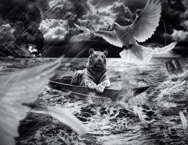 A tiger in a boat at sea and birds flying