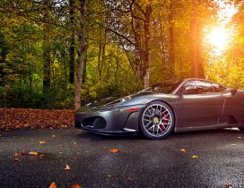Gorgeous gray Ferrari on road in the forest