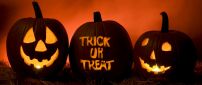 Three funny pumpkins - Happy Halloween Trick or Treat