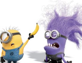 Crazy and funny minions - HD wallpaper