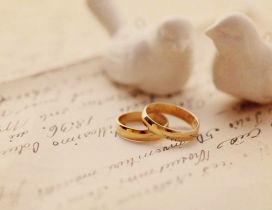 Two white birds and two wedding rings - Love time