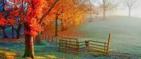 Beautiful Autumn painting - Sunlight on the field