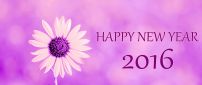 Purple flower power - Happy New Year 2016
