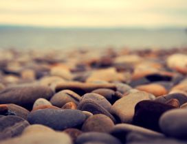 Beautiful rocks from the beach - Macro HD wallpaper