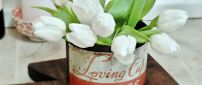 Beautiful white tulips in an old coffee can