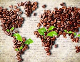 The map of coffee - special history