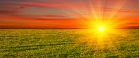 Golden sun over the green field - HD nature wallpaper