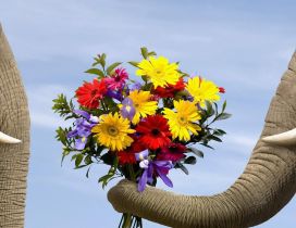 Pure animal love - two elephants and a bouquet of flowers