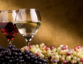 Delicious grapes and fine wine - HD wallpaper
