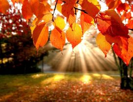 Autumn sunrise - wonderful season moments