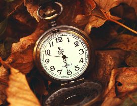 Quartz watch under the Autumn leaves - HD wallpaper