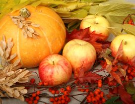 Delicious and sweet apples and pumpkins  - Autumn harvest