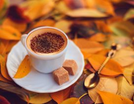 Delicious coffee with brown sugar - Autumn day